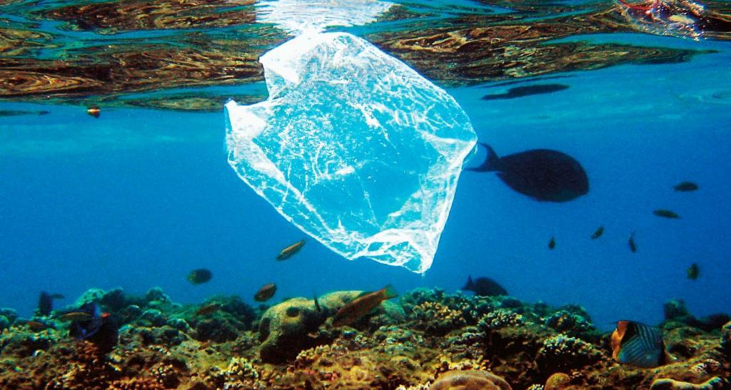 Mundo verde: España cobrará a clientes por bolsas de plástico