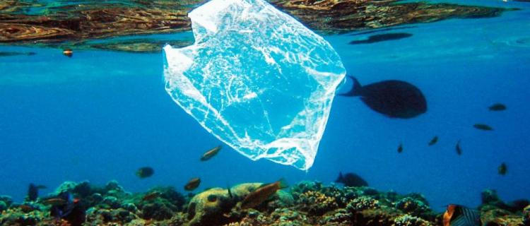 Mundo verde: España cobrará a clientes por bolsas de plástico