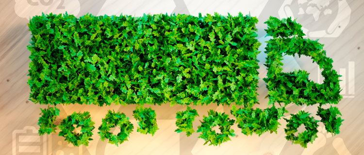 10 empresas que la realizan con éxito Logística Verde