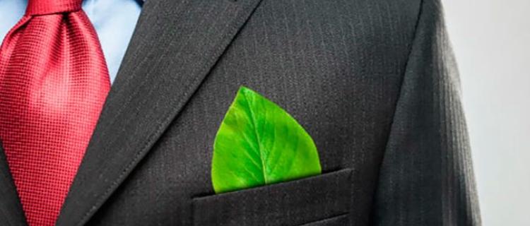 Cuatro pasos para hacer su negocio más ecológico