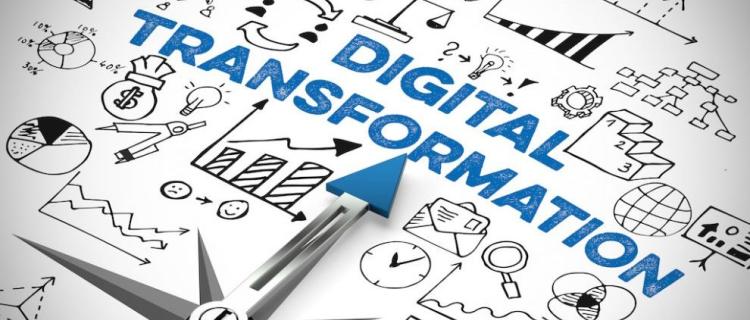 ¿Quién es responsable por la transformación digital en una empresa?