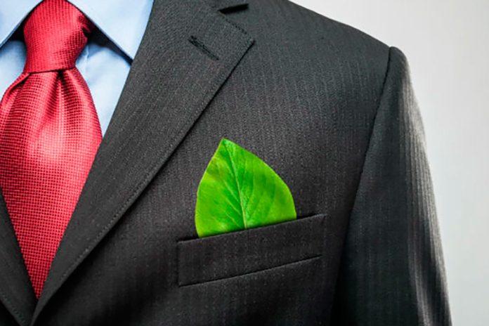 Cuatro pasos para hacer su negocio más ecológico