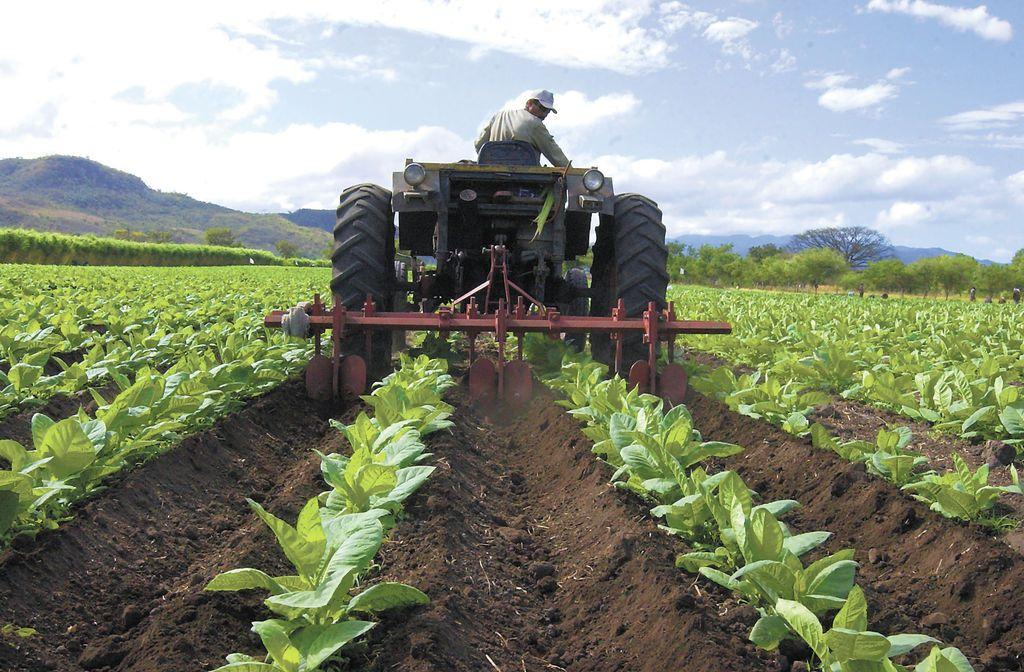 La logística es un elemento clave en la competitividad agroalimentaria